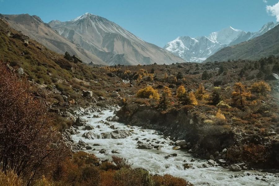 Mountain river flowing through autumn landscape with Langtang Himalayan range